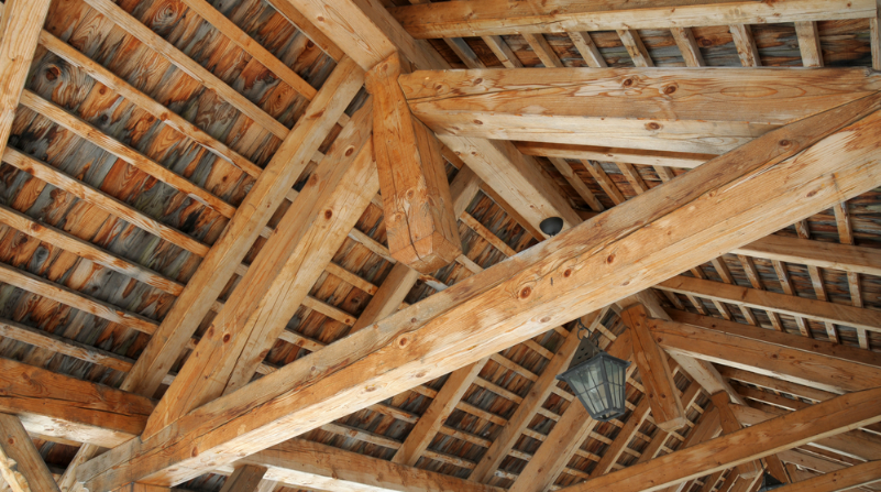 Traitement et Entretien Traitement et Entretien